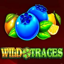 Wild Traces game by Amusnet Interactive – logo hosted on Celsius Casino